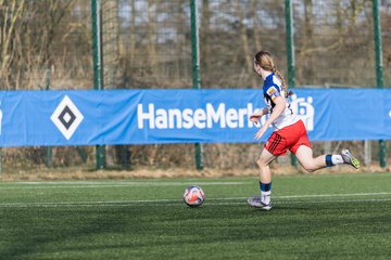 Bild 210 - wBJ Hamburger SV - Hertha BSC : Ergebnis: 2:1